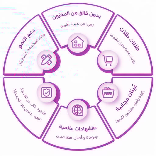 ChatGPT Image 2026年2月26日 11_06_52